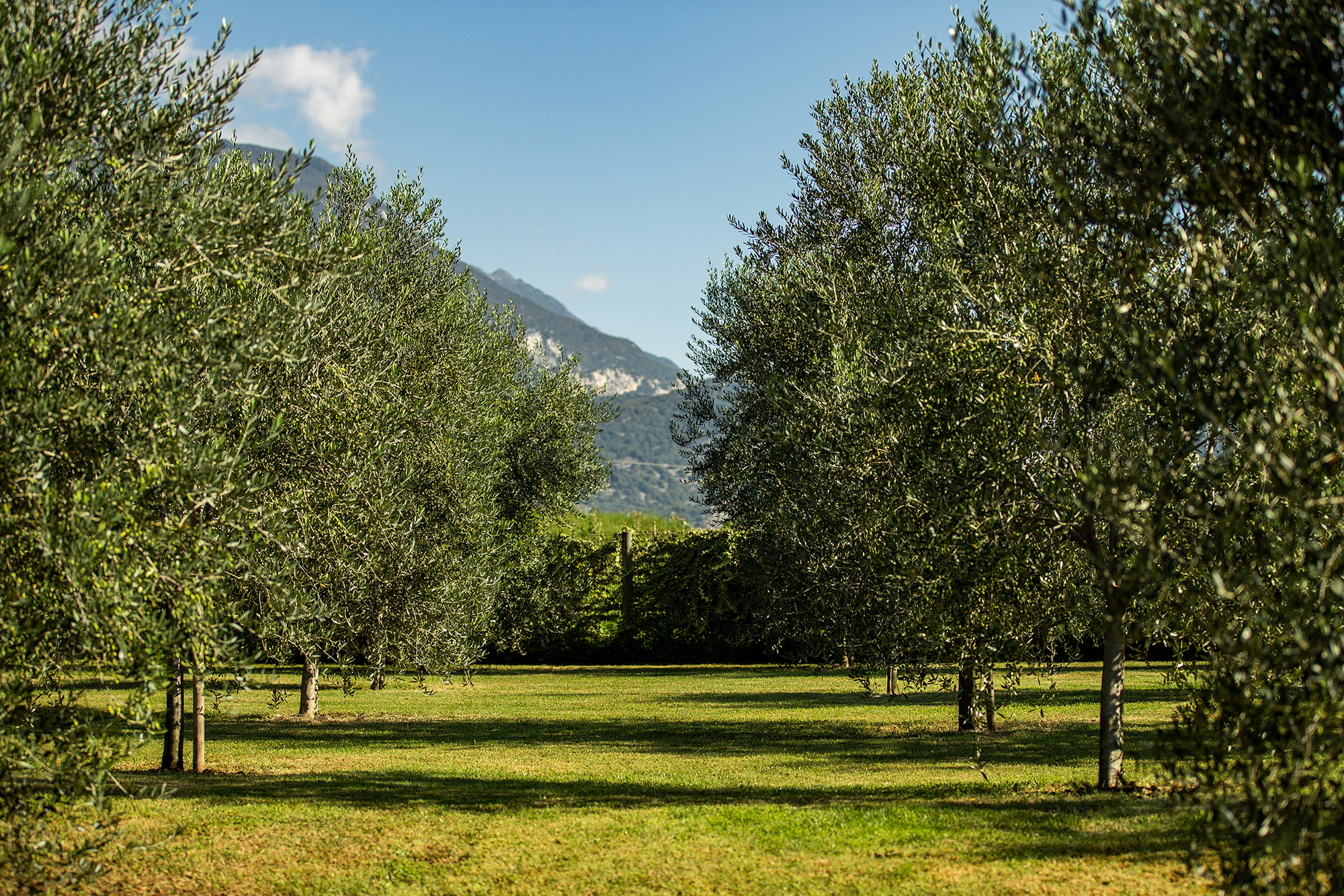 Agriturismo Casa di Campagna